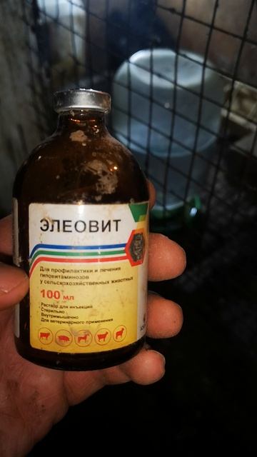 Витамины - элиовит для птицы