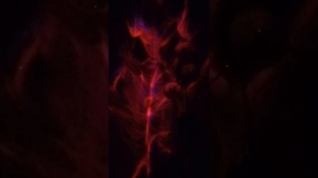 1000137504.mp4