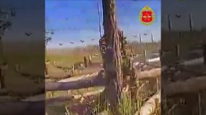 Поражение живой силы ВСУ расчетами БПЛА на Краснолиманском направлении