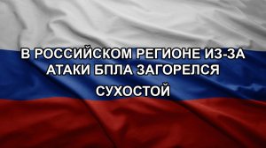 В российском регионе из-за атаки БПЛА загорелся сухостой