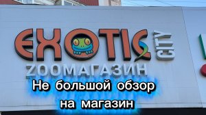 Обзор магазина Exotic city! Самые необычные животные в продаже!