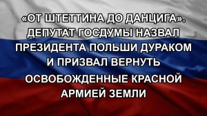 «От Штеттина до Данцига». Депутат Госдумы назвал президента Польши дураком и призвал вернуть освоб