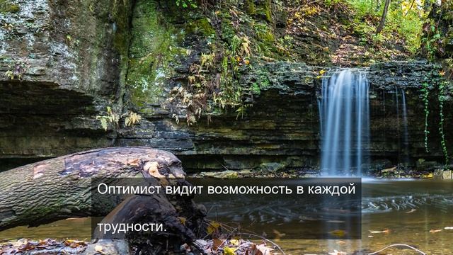Жизненный путь тяжелого цветка 16