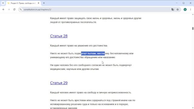  Нам  всё врагам  конституция НС 07.08.26