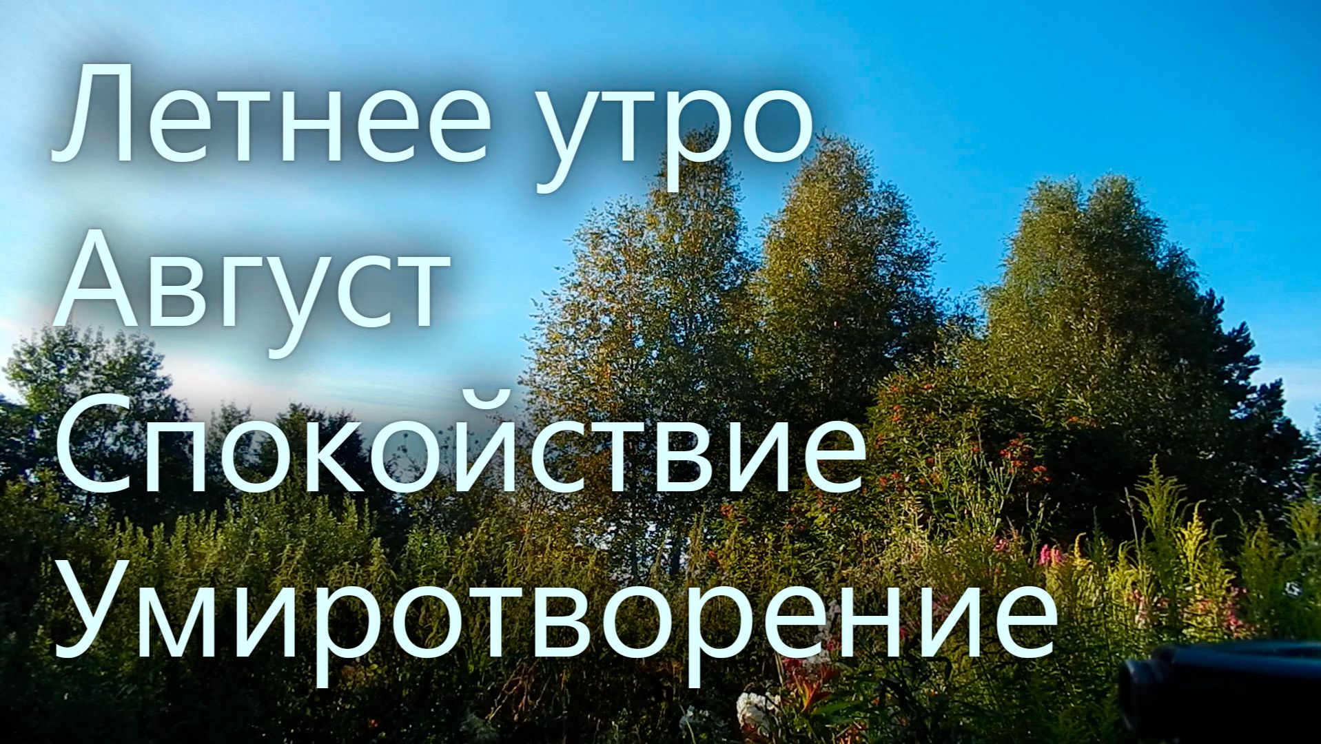 Спокойствие. Умиротворение. Летнее утро.