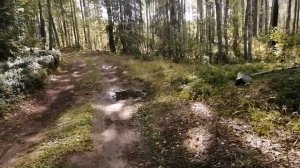 🌿НАШИ БУДНИ🌿 КАРЕЛИЯ 🧡