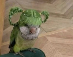 скоро фильм