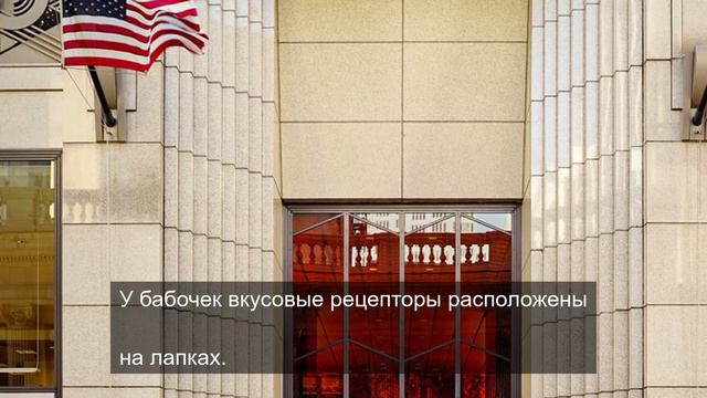 Большой брать 1984 дает силу 5
