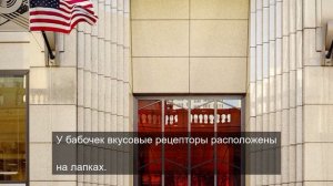 Большой брать 1984 дает силу 5