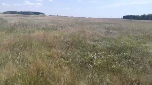 Сарасарым аул в Таврическом районе Омской области
