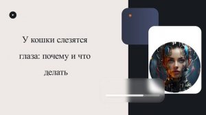 У кошки слезятся глаза: почему и что делать