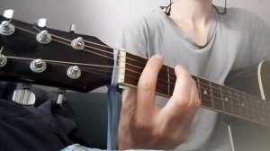 Рохля - Альбатрос