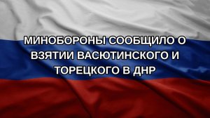 Минобороны сообщило о взятии Васютинского и Торецкого в ДНР