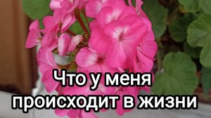 09-08-2026. Что у меня происходит в жизни. Рассказываю.
