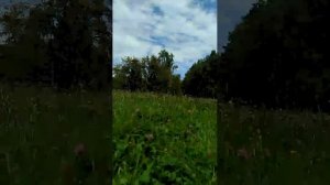09-08-2026 Парк в Кисловодске.