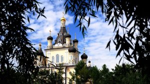 Божественная литургия. Неделя 10-я по Пятидесятнице. Глас 1-й.  Вмч. и целителя Пантелеимона