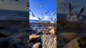 Быть хорошим для себя