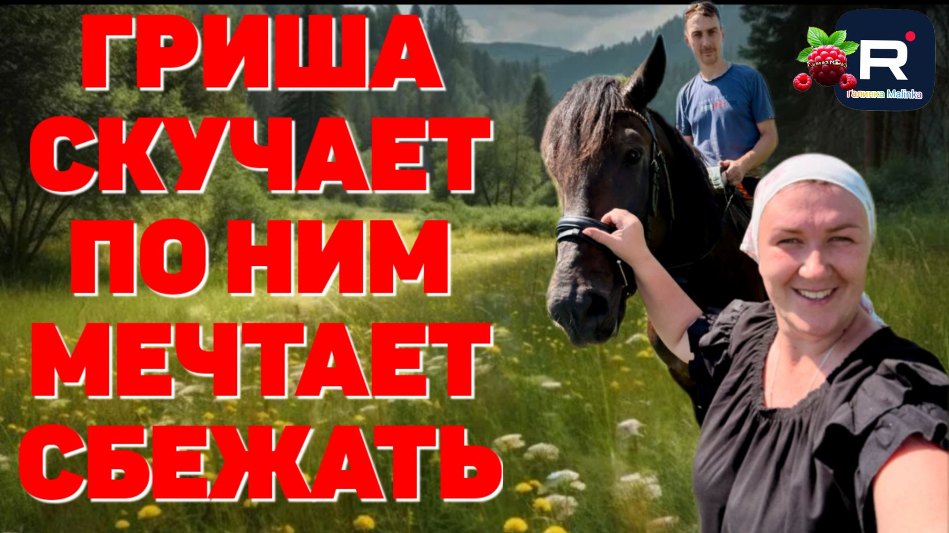 Гриша скучает по ним, мечтает сбежать /Деревенский дневник очень многодетной мамы Обзор