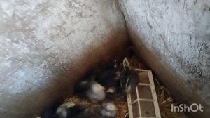Поездка. Любуюсь красотами природы. Дом и домашнии дела.