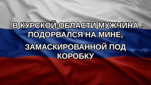 В Курской области мужчина подорвался на мине, замаскированной под коробку