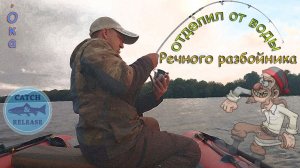 В поисках трофея