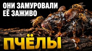 Пчёлы замуровали мышь заживо. Вот что нашли внутри улья.