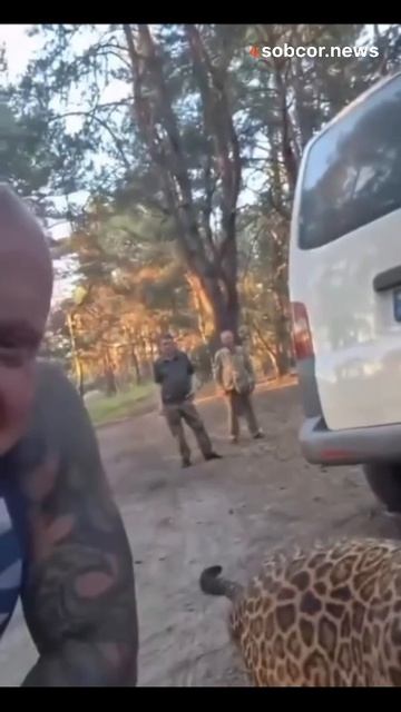 В Днепропетровской области людоловы решили мобилизовать мужика, выгуливающего в лесу леопарда
