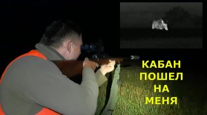 Охота на КАБАНА/Добыли в последний момент!/Шел прямо на нас!!!