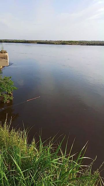НА РЫБАЛКЕ 🎣