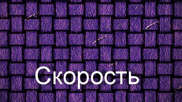 Скорость.Шмальцигауг,описание KMSKA,Королевский  музей изящных искусств Антверпена