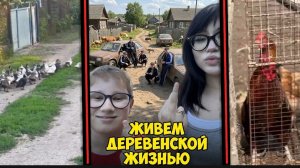 влог из деревни