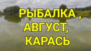 Рыбалка,  август, карась.
