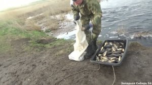 Ванна рыбы за три минуты. Я столько рыбы давно не видел. Рыбалка на паук подъёмник.