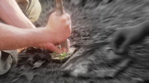 I Stranded 100 People In The Wilderness For $250,000_1080p