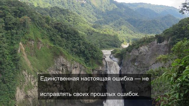 Жизненный путь тяжелого цветка 3