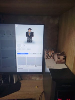 ROBLOX | STREAM