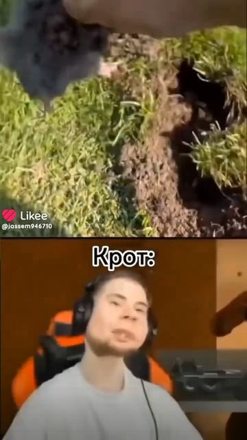 откуда инфармэйшэн а