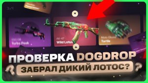 😱 ОТКРЫТИЕ КЕЙСОВ КС 2 на сайте
