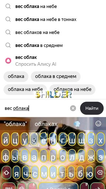 облачко 10тон гача SHILDER