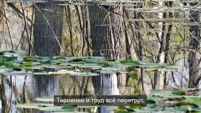 Большой брать 1984 дает силу 19