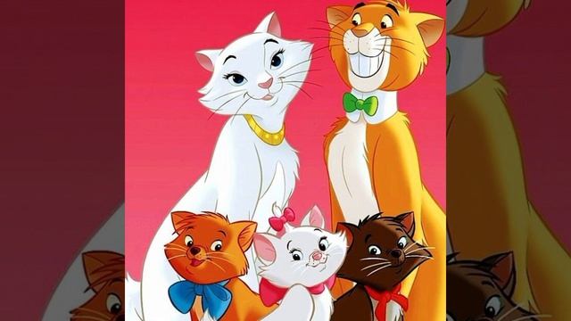 Cold Nightsno No Cats The Aristocats