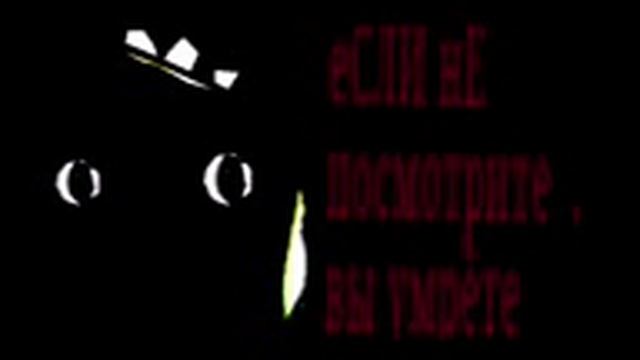 KAOI:gugugagapigvin.3gpp