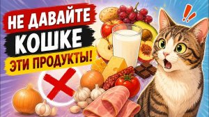 Эти Продукты Медленно Убивают Вашу Кошку! 🙀 Никогда Не Давайте Их Питомицу