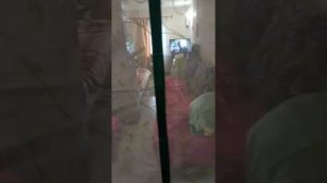 1000022821.mp4