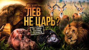 УДИВИТЕЛЬНЫЕ ФАКТЫ Восточной Африки! 🦁