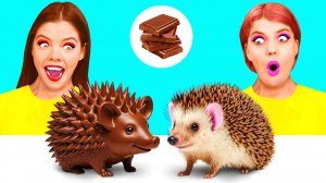 Челлендж. Шоколадная Еда vs Настоящая еда # Смешные Рецепты с Едой от DaZaZa Challenge