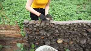Young woman leaves civilization to develop a primitive farm  Make a boat out of planks