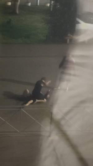 Люди подрались прямо на дороге