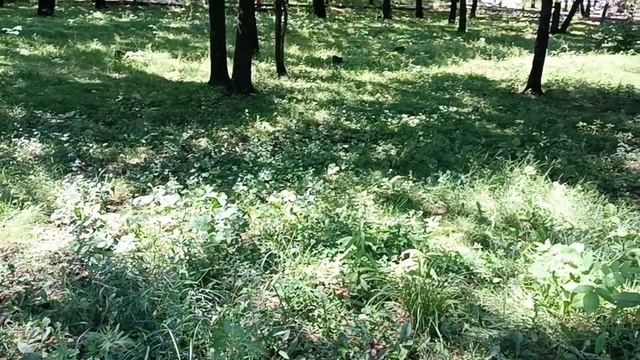 Почему я уволилась с детского сада /  Нехватка психологов!  08-08-2026