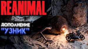 БЫСТРОЕ ПРОХОЖДЕНИЕ ДОПОЛНЕНИЯ УЗНИК В REANIMAL (РЕАНИМАЛ ИГРА 2026)
